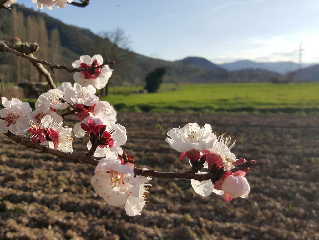 艾特尔兹耶瑞乡村民宿 Ferentillo 外观 照片