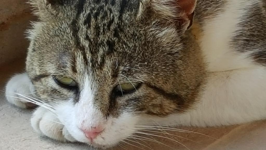 艾特尔兹耶瑞乡村民宿 Ferentillo 外观 照片